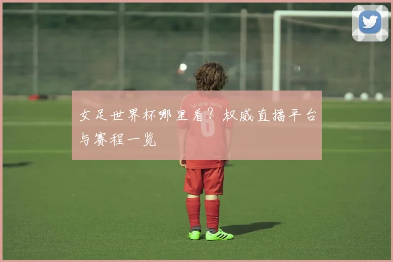 女足世界杯哪里看？权威直播平台与赛程一览