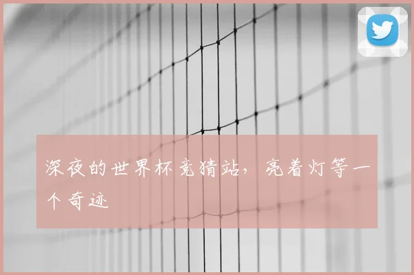 深夜的世界杯竞猜站，亮着灯等一个奇迹
