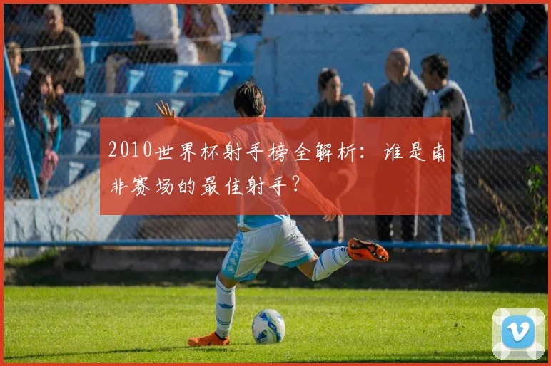 2010世界杯射手榜全解析：谁是南非赛场的最佳射手？